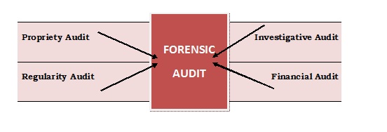 forensic auditing jobs cape town